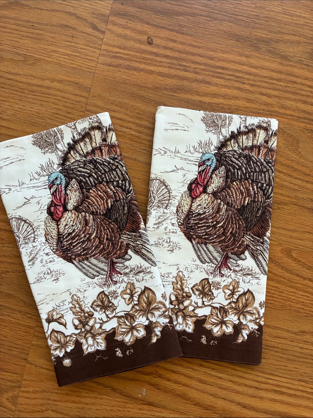Set of 2 Williams Sonoma Plymouth Turkey napkins 19” square NWOT